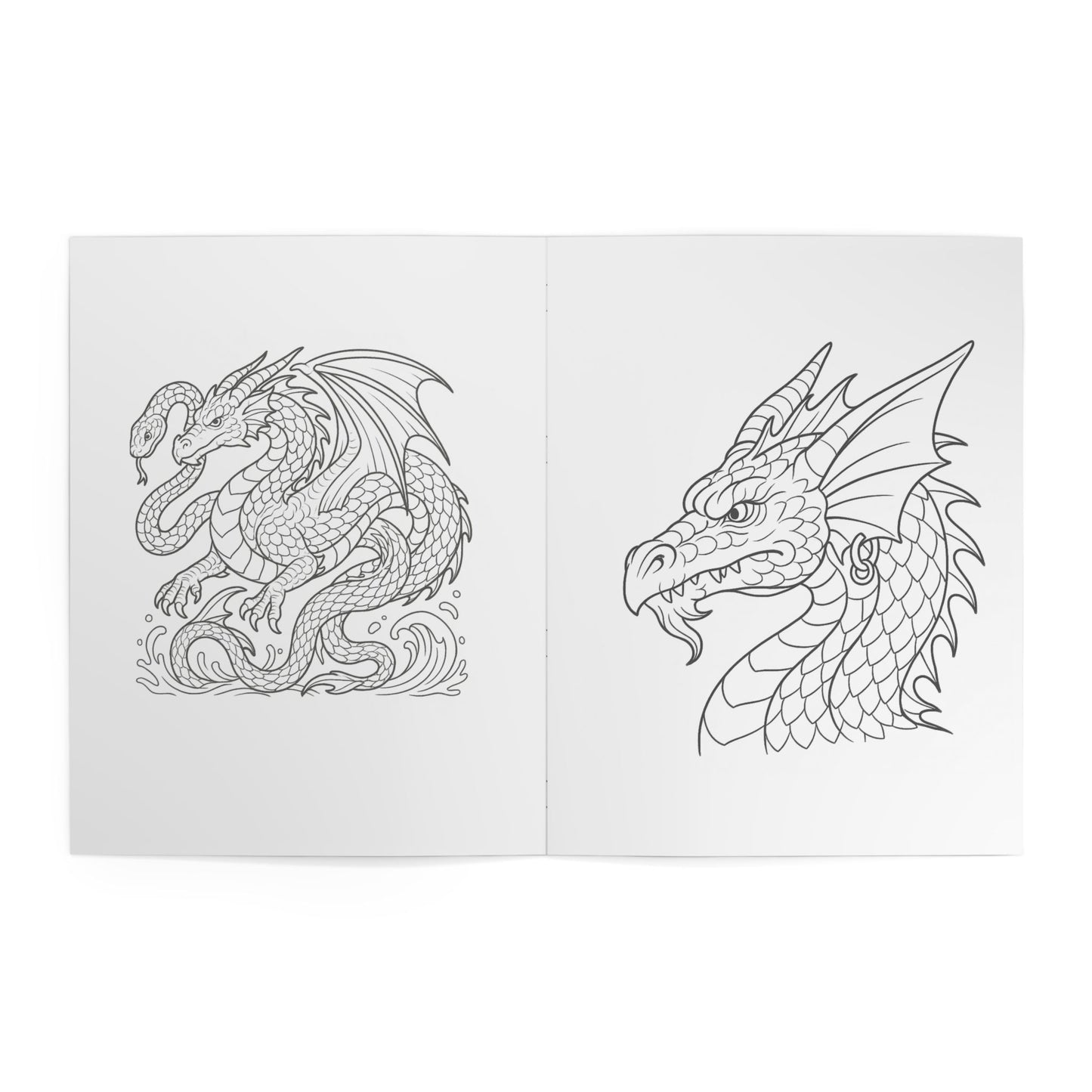 Dragon Quest Coloring Book Fantasy Dragon Illustrations, Activity Book